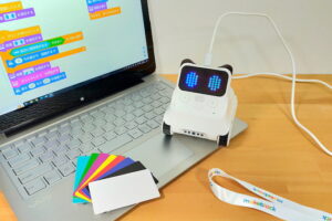 Codey Rocky(コーディーロッキー)の口コミ・レビュー