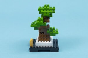 プチブロック 植物の松