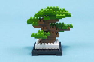 プチブロック 植物の松