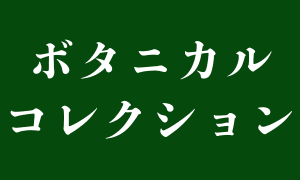 ボタニカルコレクション