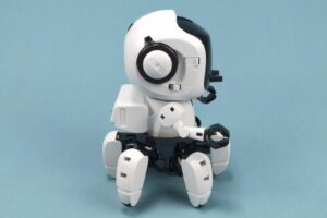 リモフォロ