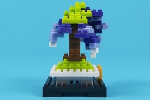 プチブロック 植物4