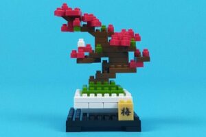 プチブロック 植物5