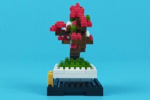 プチブロック 植物5