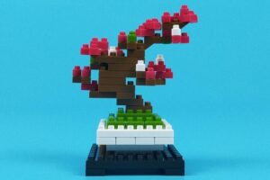 プチブロック 植物5