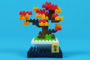 プチブロック 植物6