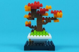 プチブロック 植物6