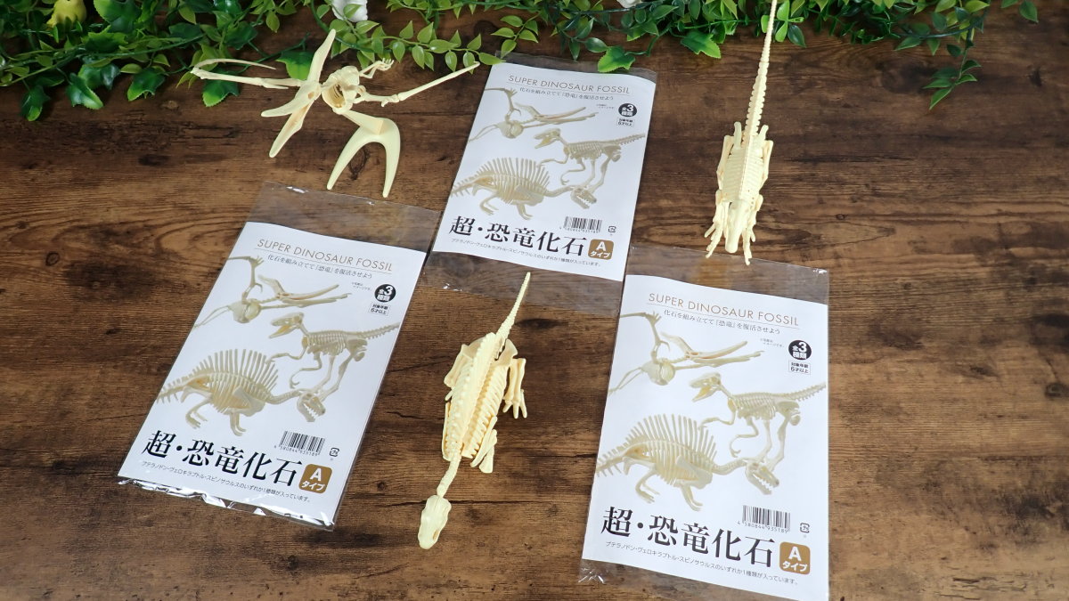 超・恐竜化石 Aタイプ